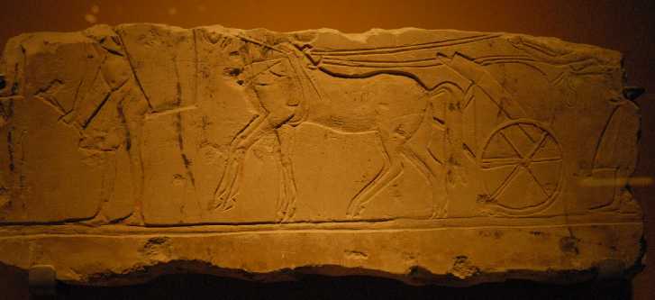 DSC0165